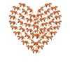 foxes