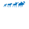 Elch Evolution