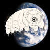 Tardigrade
