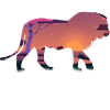 safari