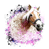 cheval,haflinger, graffitis, peinture, bleu, chevaux,