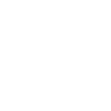 Goose Mom