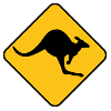 kangaroo