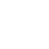 Raster Skull