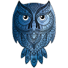 Blue Owl with Universe