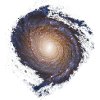 Spiral Galaxy NGC 3147