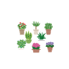 Gardener Plants
