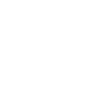 VEGAN Lifestyle