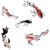 koi carp