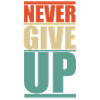 NEVER GIVE UP !