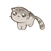 El Wiwi Cat Meme