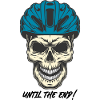 Skull Bicycle Helmet