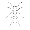 Ant Ant Ant Lines