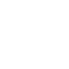 Ant from ants