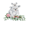 Mors dag koala mor og Baby Koala
