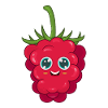 raspberry