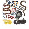 Snakes Boys Kids Girls Education