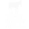 Cheval chevaux