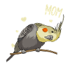 Nymph Parakeet Mama Bird Gift