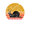 Retro Sun Snail Gift