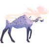 elk