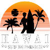 Surfing Paradise Hawai