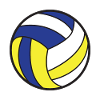 Volleyball Ball