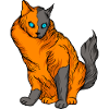 Funny cats 6