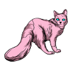 Funny cats 7