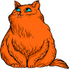 Funny cats 9
