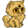 Funny cats 14