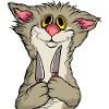 Funny cats 20