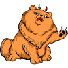 Funny cats 10