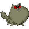Funny cats 16