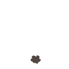 White from the back