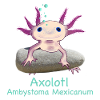 Iconic Axolotl Chilling, Hand Drawn