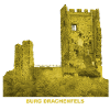 Drachenfels Burg Ruine Rhin Siebengebirge