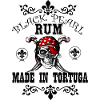 The Pirate's Buried Treasure