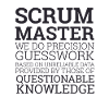 "Scrum Master" | Scrum Master