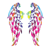 coloured wings