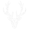tête de cerf polygone