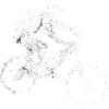 Bicycle Cycling Bike