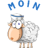 Moin