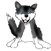 husky
