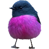 Sweet Bird/ Vogel