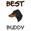 Best Buddy Dackel