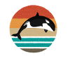 Orca Killer Whale Ocean