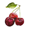 cherry