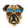 cool dog design