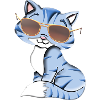 cool cat